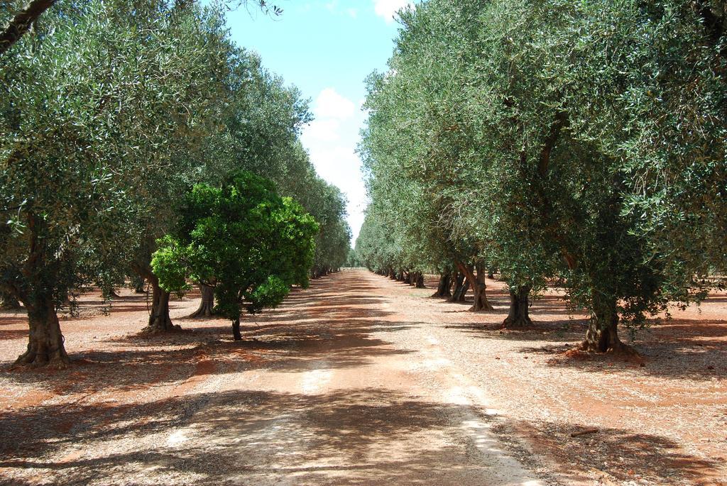 Terra Di Leuca Villa Salve Eksteriør billede
